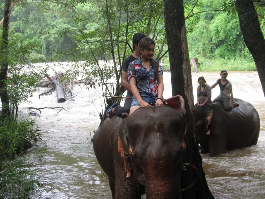 Elephant_Mondulkiri